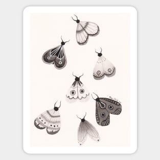 Moths Sticker